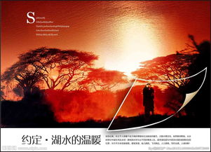 地產(chǎn)廣告設(shè)計(jì) 視覺驅(qū)動(dòng)價(jià)值的藝術(shù)與實(shí)踐