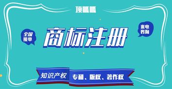 頂峰知產(chǎn) 以高成功率賦能企業(yè)商標(biāo)與知識(shí)產(chǎn)權(quán)保護(hù)